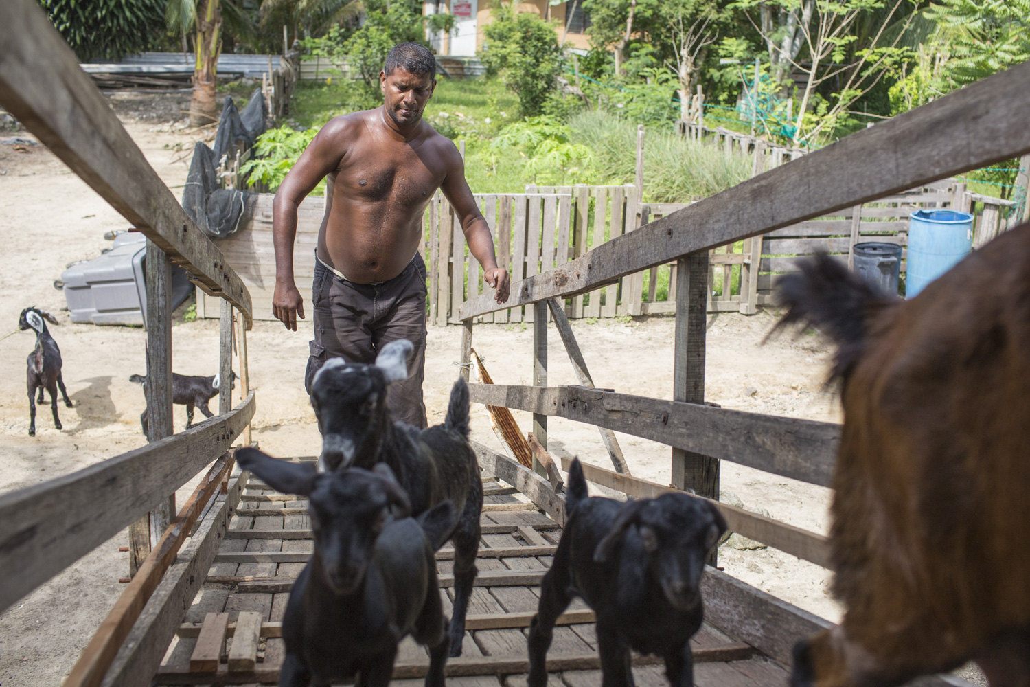 After his stint at Positive Living, Selva hopes to set up his own farm in the long run. He developed a keen passion for rearing goats after caring for the ones at PLC.