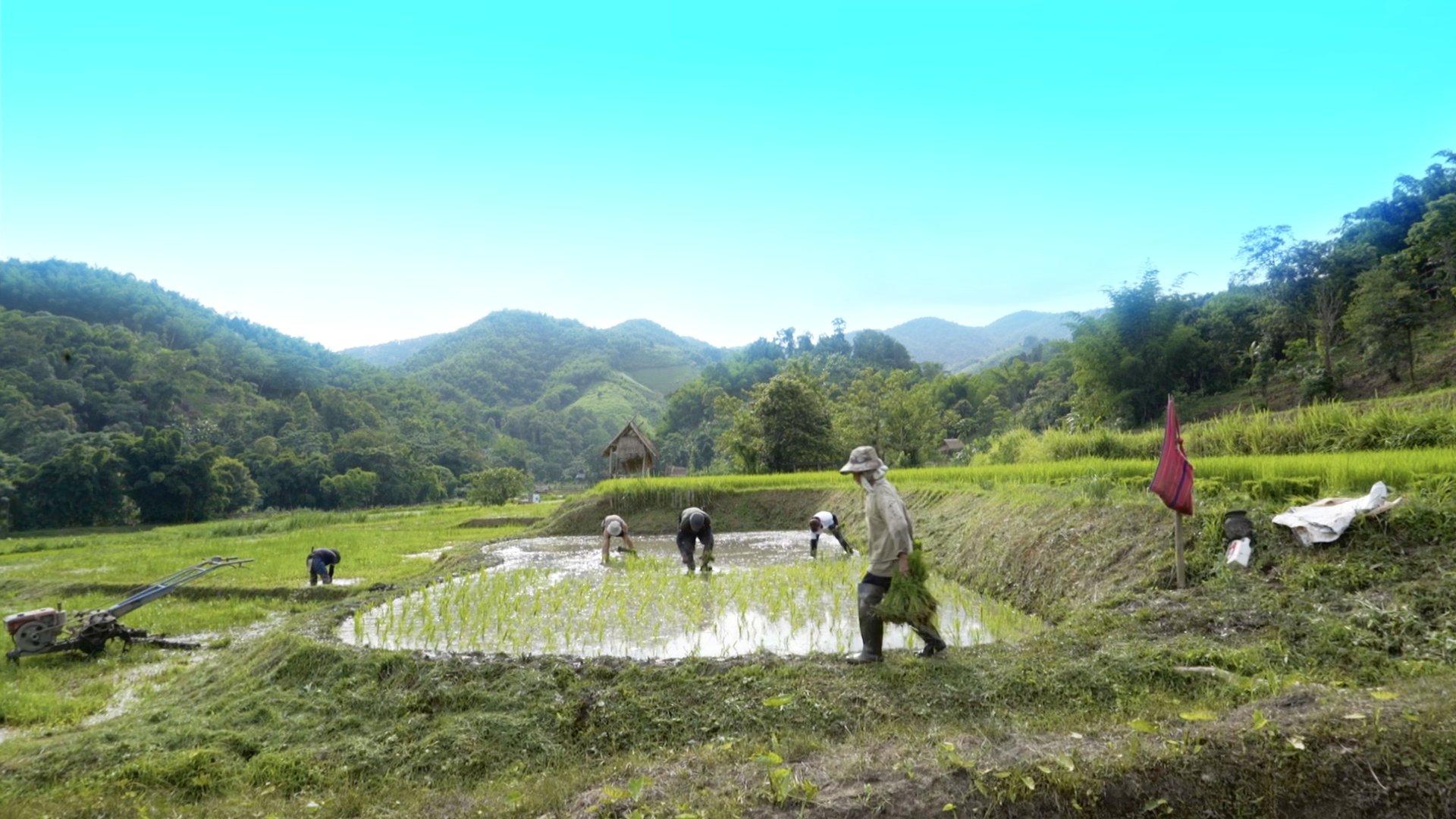 Nestled in the hills of Chiang Rai, visitors are welcome to experience the simple life as a farmer at Tigerland Rice Farm.