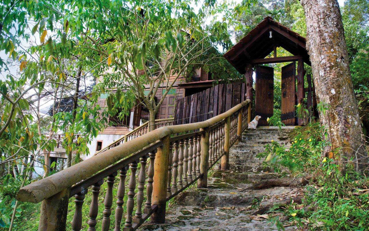 Entrance to Titi Sorong Ecolodge, the main lodge at Green Acres Orchard and Ecolodge. Like all the lodges at this 16-acre orchard, it was constructed from restored kampong (village) houses that had fallen into disrepair. Photo from Green Acres Orchard and Ecolodge