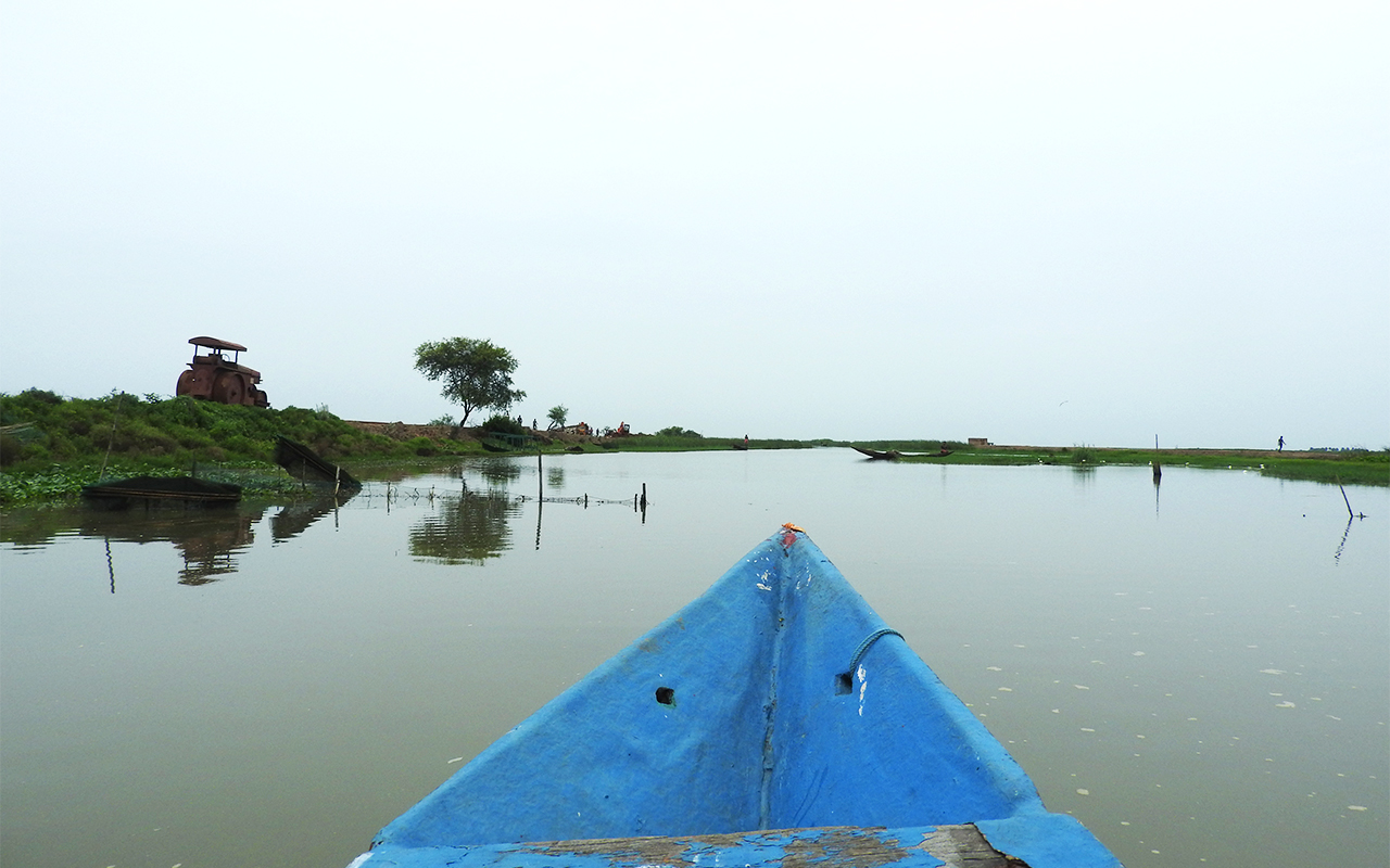 In 2010, Mangalajodi Ecotourism Trust was set up, so that participating villagers could earn a more sustainable income through ecotourism efforts such as taking travellers onto the lake for bird-watching trips. Photo by Elita Almeida
