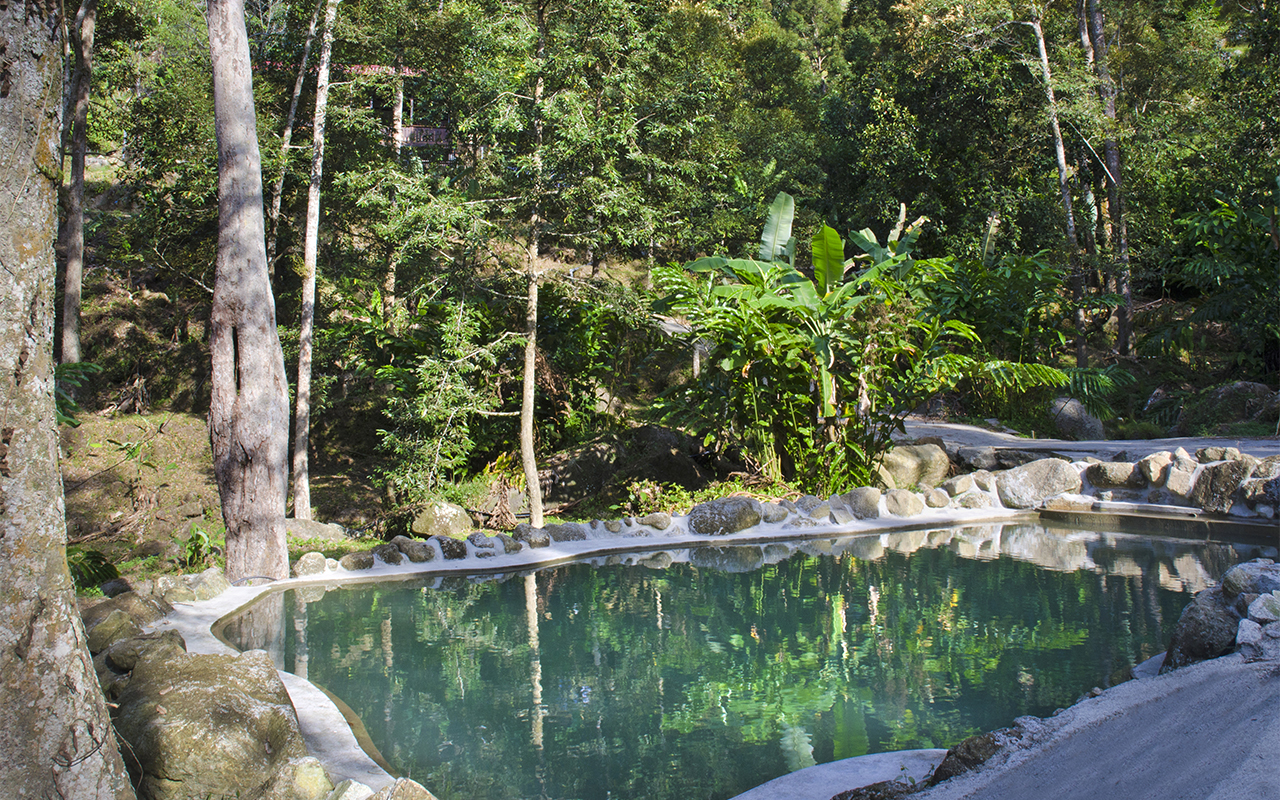 The Chongs also put in an inviting swimming pool, perfect for cooling off after exploring the property. Photo from Green Acres Orchard and Ecolodge