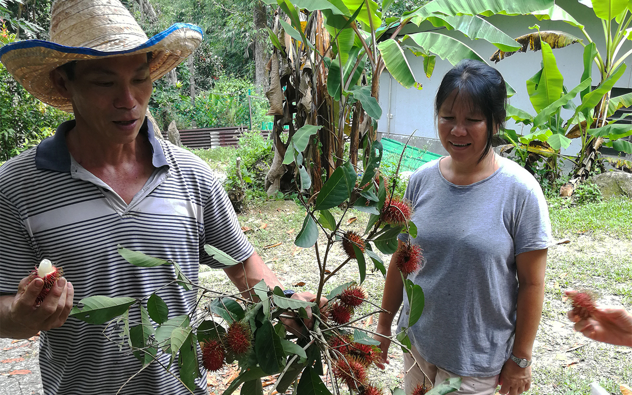Eric Chong (left) and his wife keep group tours small, so that they can personally bring visitors around the farm to share their love for sustainable living. Photo by Alexandra Wong