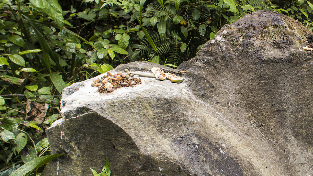 Areca nuts, betel peppers, tobacco, ground limestone and cigarettes atop Konde Ratu prayer rock, the spiritual gate of Mount Kelimutu. These items are traditionally made as a peace offering to both the living and the dead. Photo by Andra Fembriarto