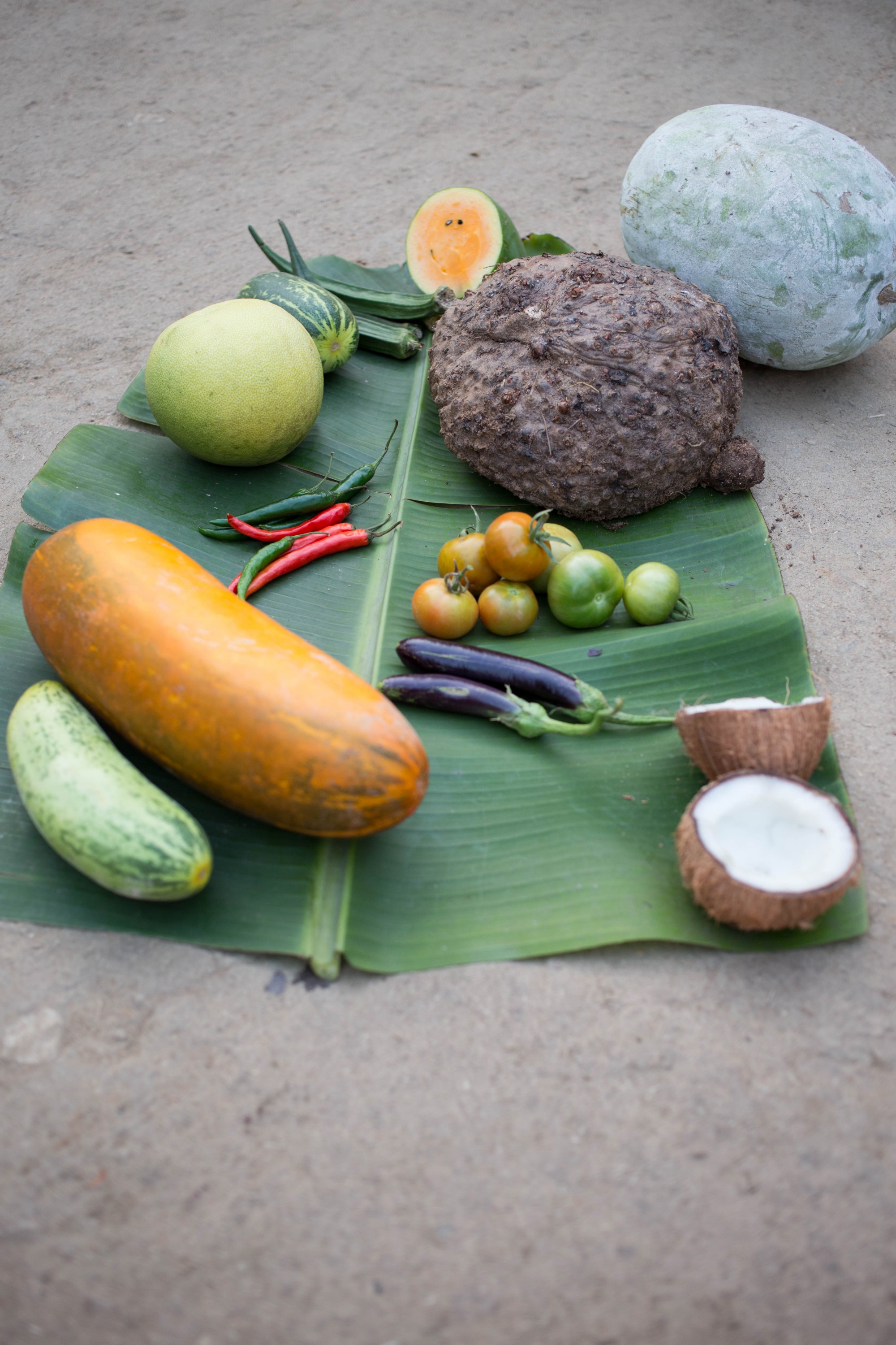All the ingredients for Sumathi’s delicious sambar.