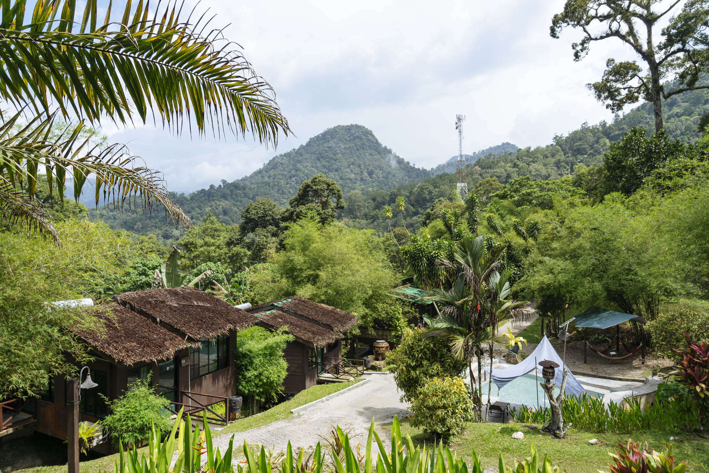 Adeline Villa and Rest House is nestled in a gorgeous rainforest setting. Photo by Teoh Eng Hooi.
