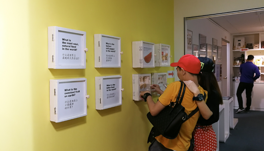 Wonderfood Museum also aims to raise awareness on the harmful impact our dining choices can have on the environment, such as the havoc wreaked by producing and consuming shark’s fin soup. Photo by Alexandra Wong