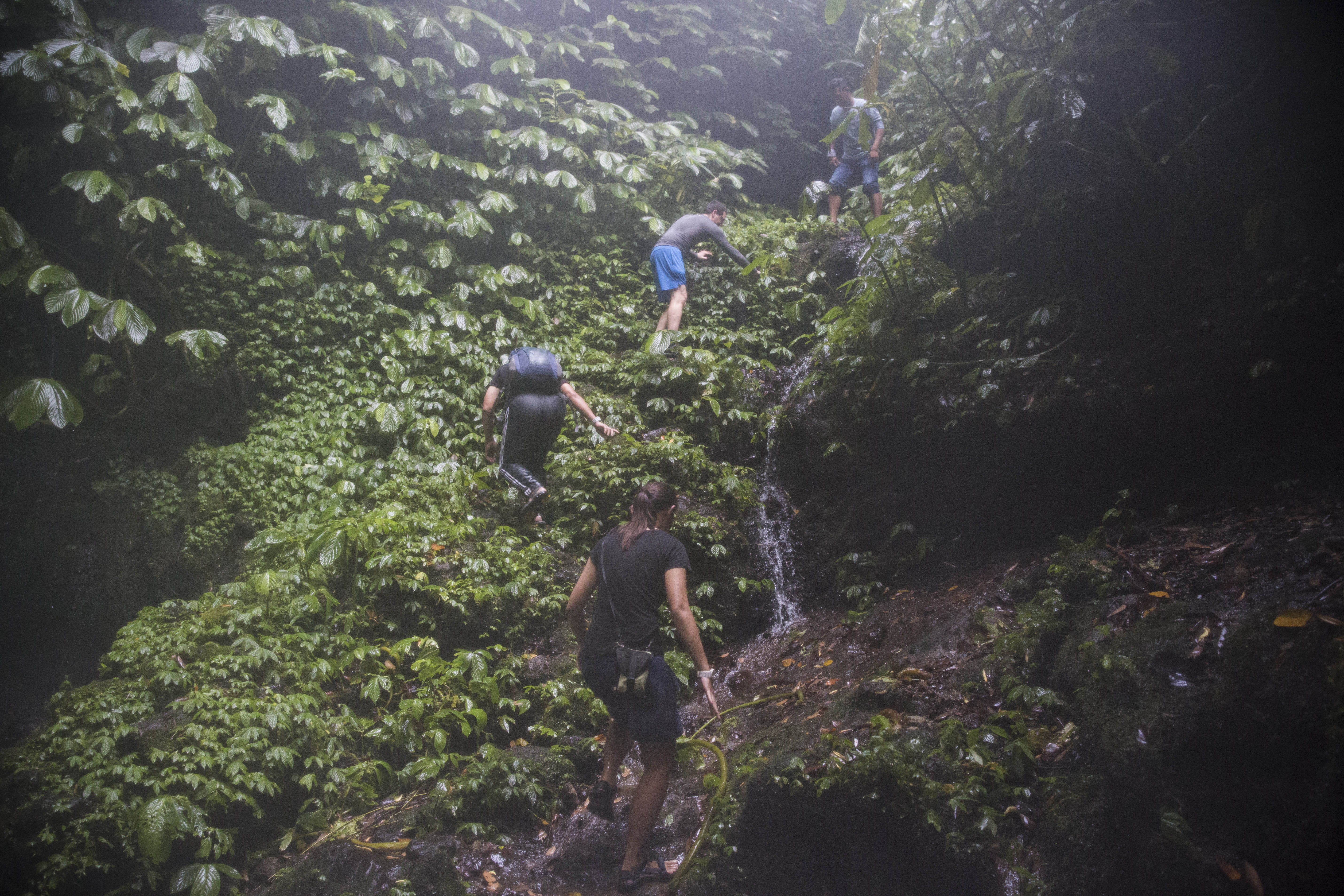 Explore the wild beauty of jungle and waterfall trekking
