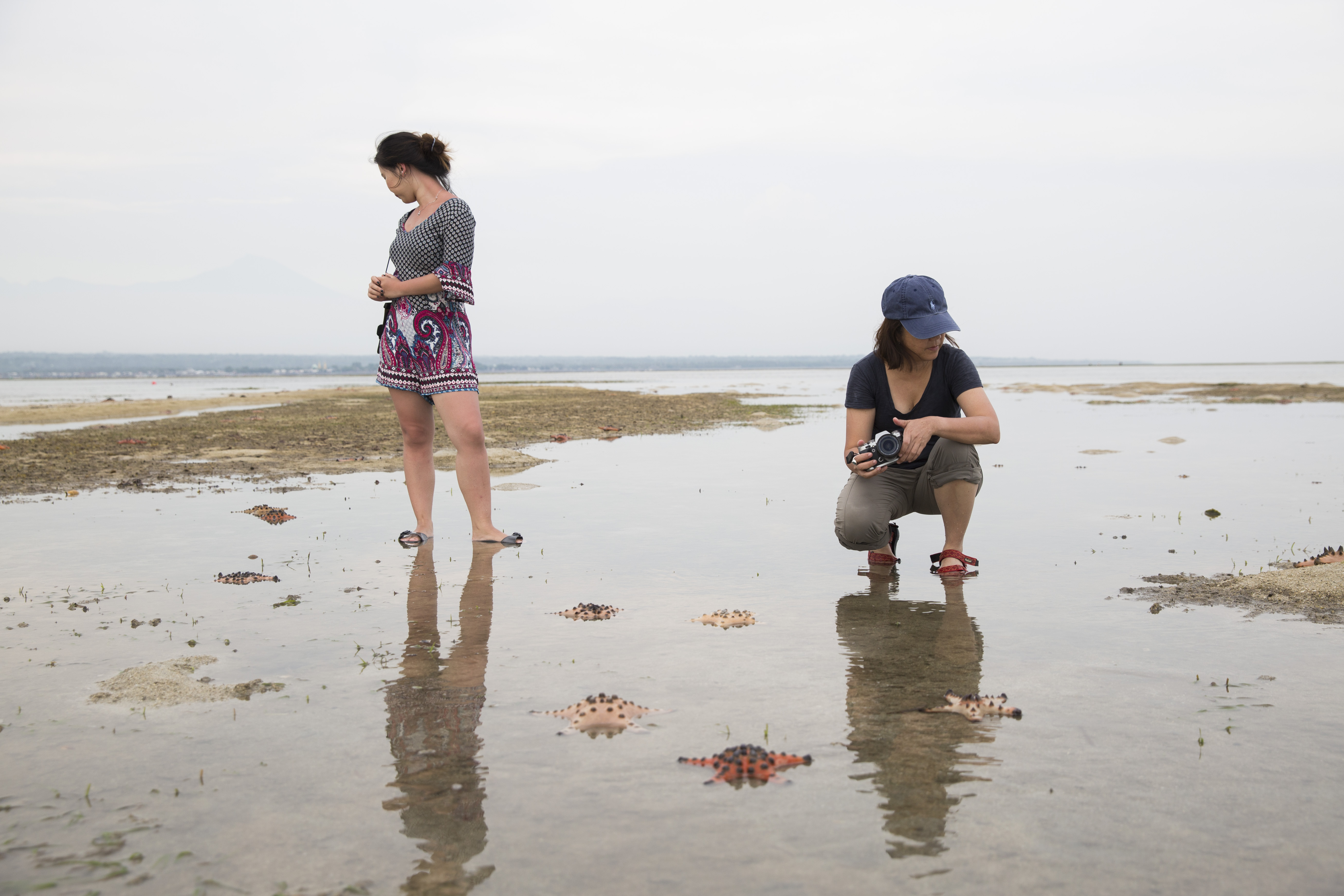 Get up close with sea stars and other marine life in an intertidal area.