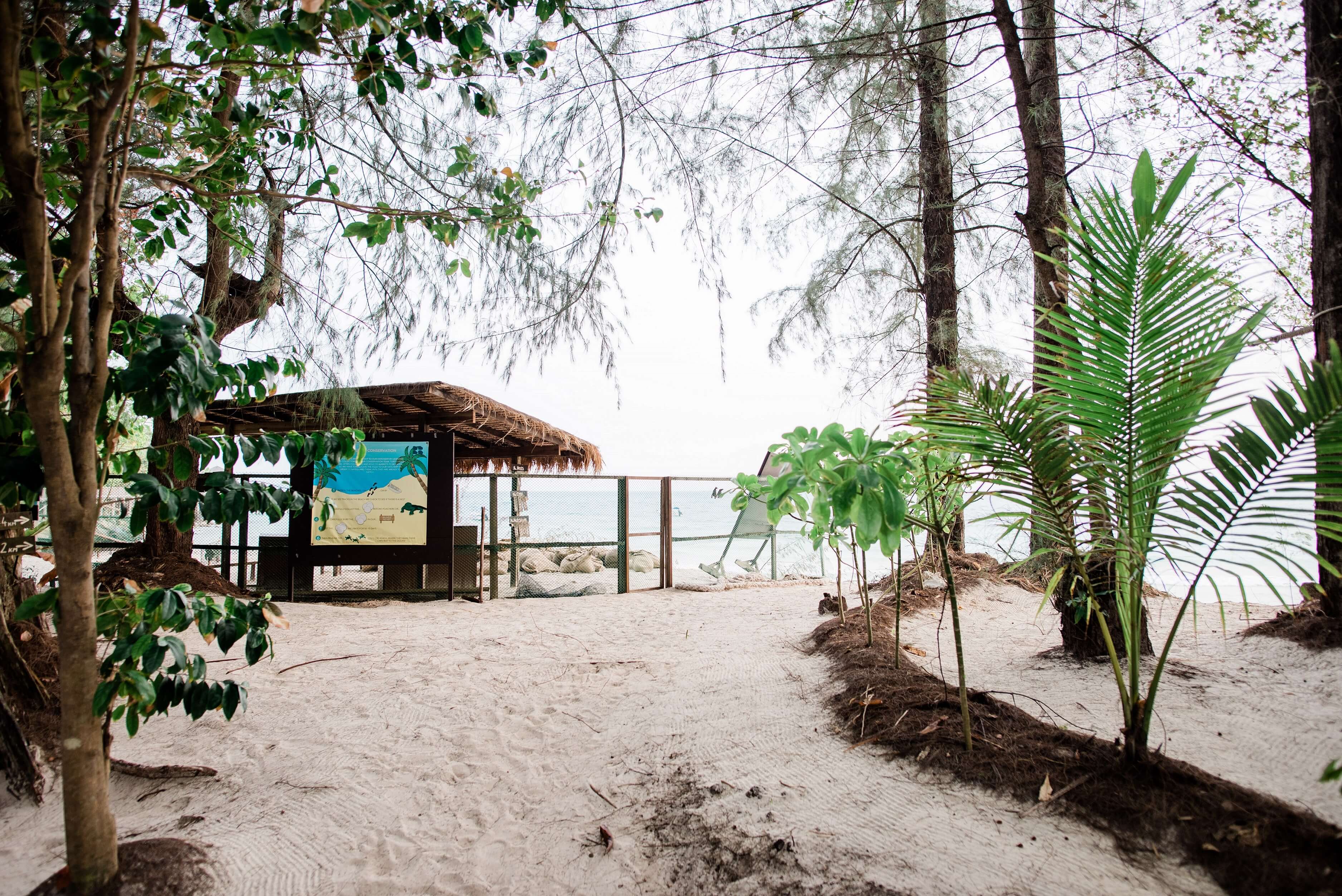 But escapism doesn’t mean you can’t give back — Batu Batu ploughs a part of its revenues back into conservation, establishing Tengah Island Conservation (TIC) as a non-profit. Photo by Kenny Ng