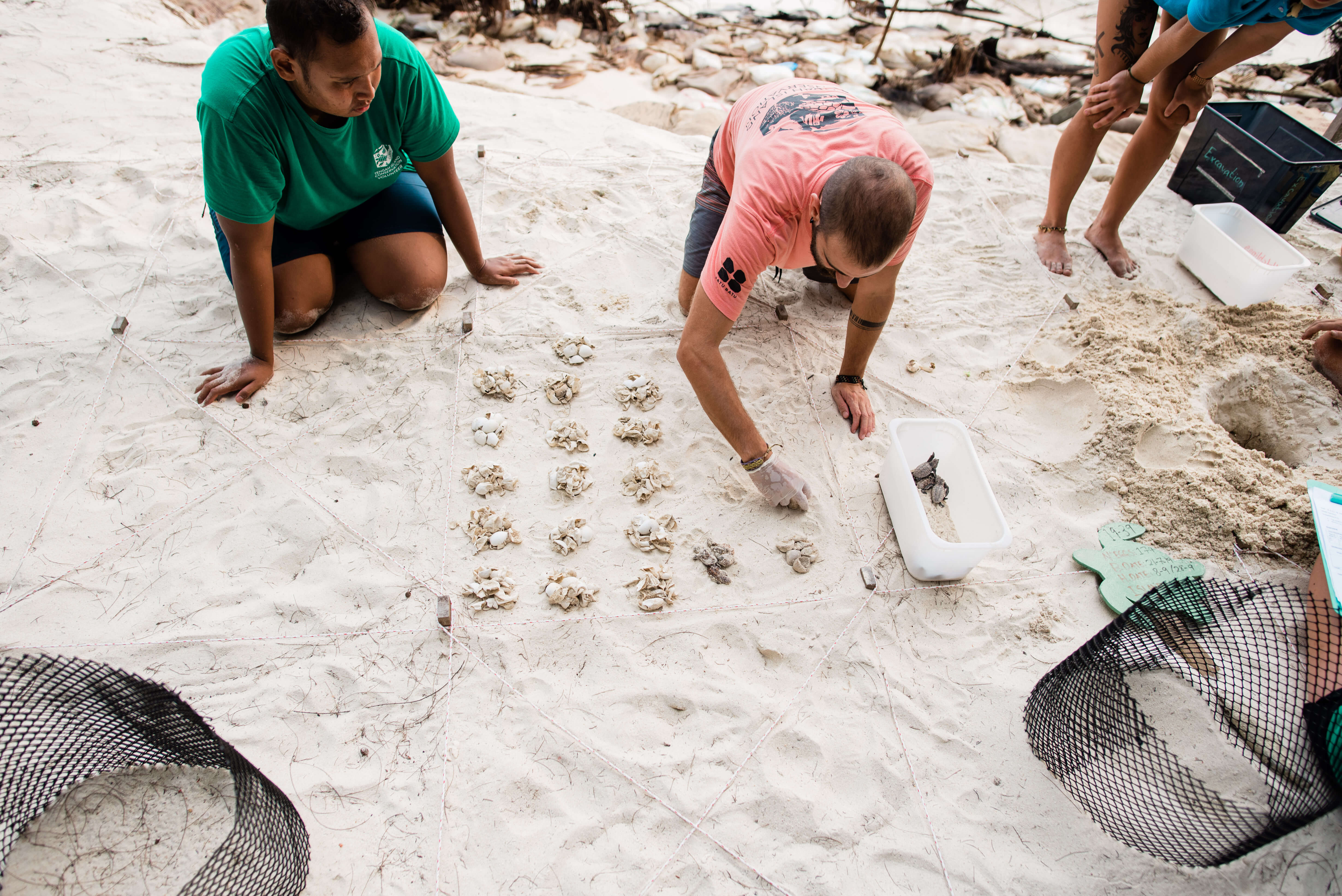 TIC conducts research on the surrounding marine environment, and initiates conservation projects. Pictured are staff and volunteers recording data about the latest batch of hatched turtle eggs. Photo by Kenny Ng