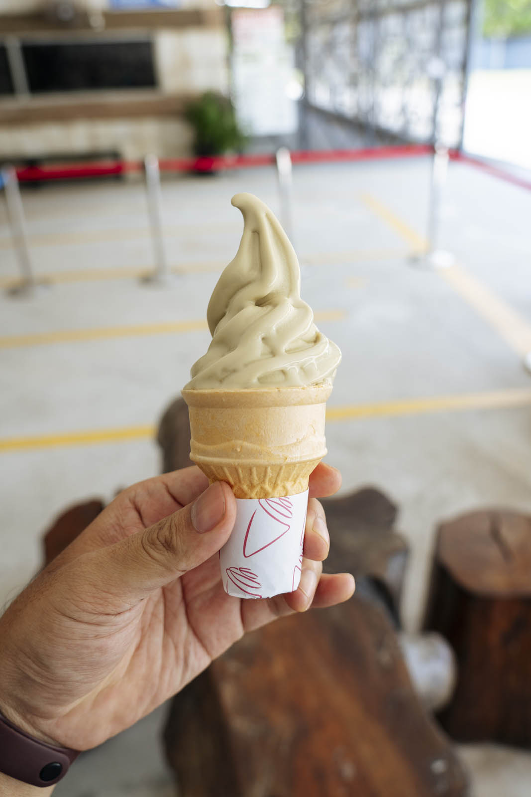 Gaharu ice cream. Photo by Teoh Eng Hooi.