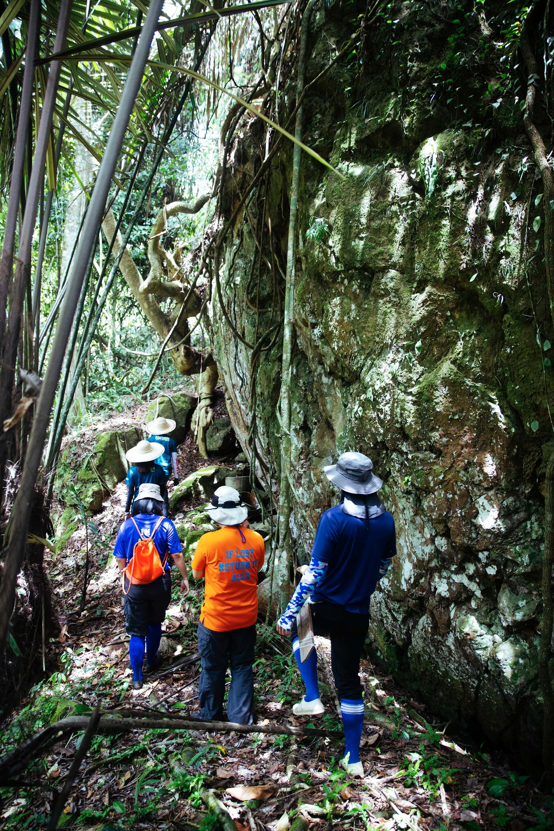A group of travellers make their way down a trail in a forest. The leisurely village walks take guests to sites revealing some Lun Bawang history, such as a former buaya tanah (crocodile mound), where Lun Bawang warriors celebrated for seven days and nights after successful headhunting expeditions.