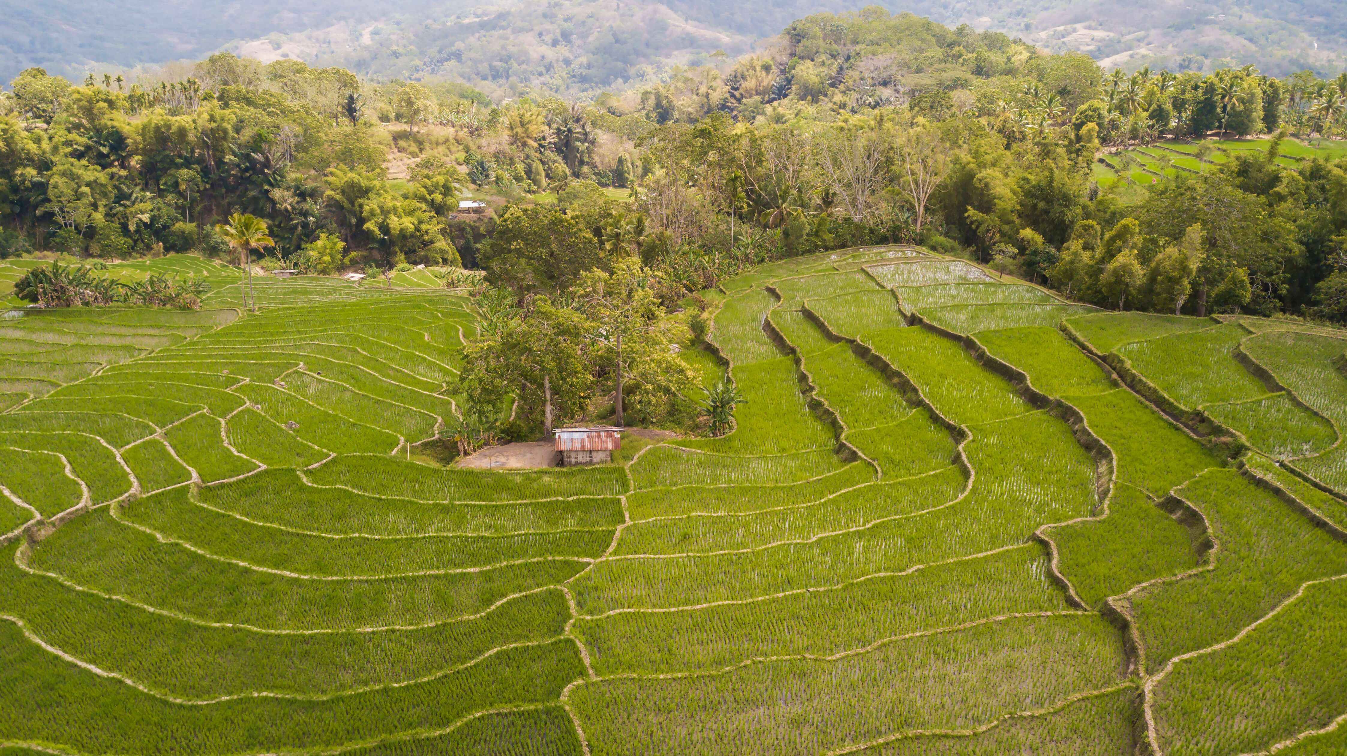 Despite its proximity to Mount Kelimutu, the charms of Detusoko village have long been overlooked. But now, RMC Detusoko is inviting travellers to experience life with Lio farmers in the Ende highlands, offering insight to the ecological and spiritual practices underpinning their culture. Photo by Andra Fembriarto