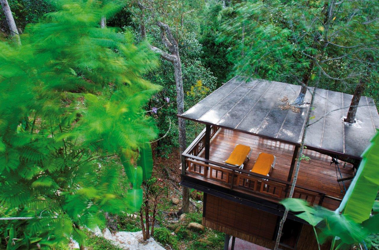 Stay in a treehouse built around an 80-year-old-durian tree at Green Acres Orchard and Ecolodge. Photo from Green Acres Orchard and Ecolodge