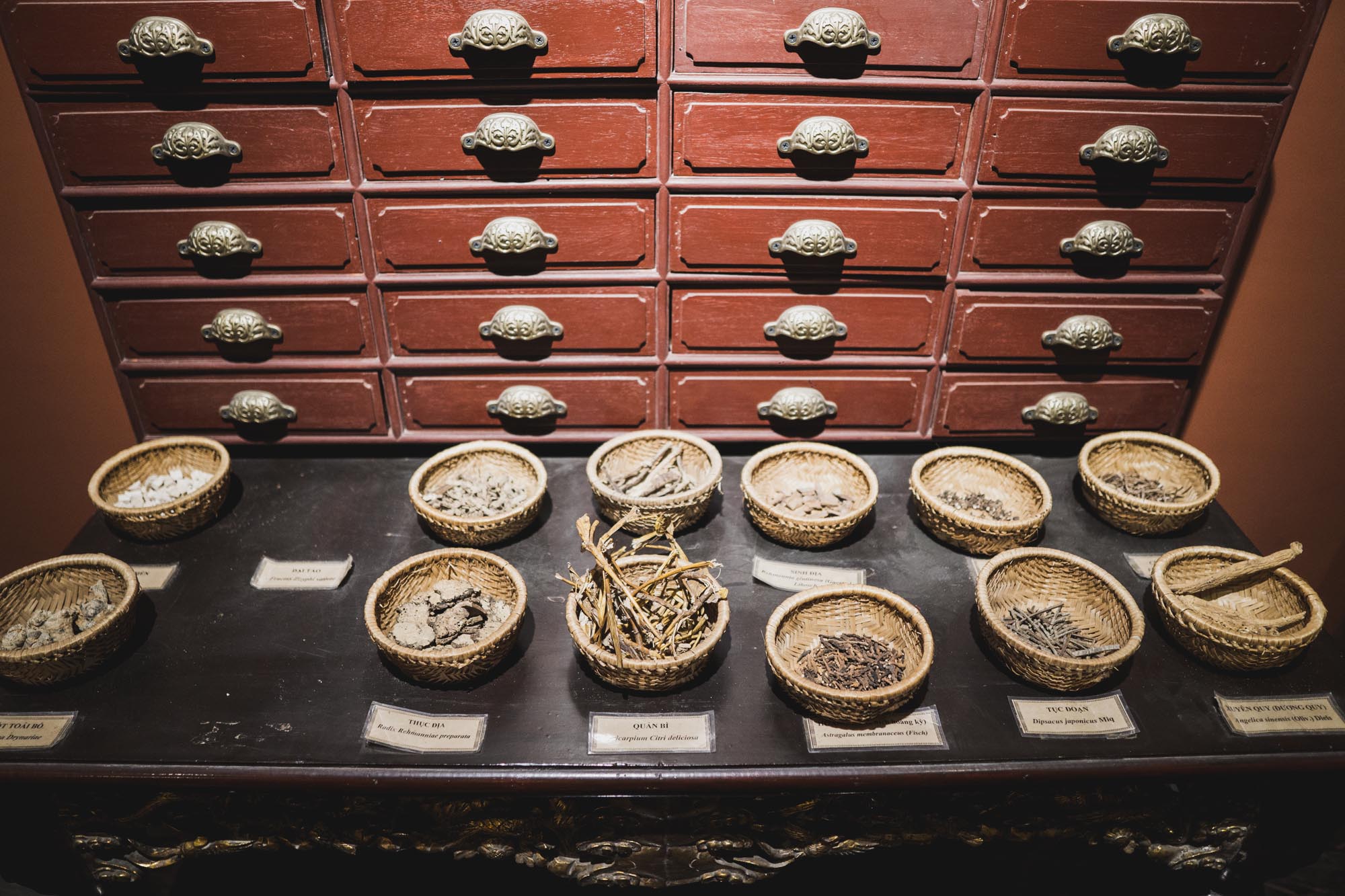 The Fito Museum of Traditional Vietnamese Medicine showcases the evolution of Vietnam’s traditional medicine, over thousands of years. Photo by Nam Quoc Tran