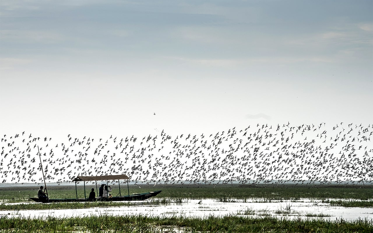 Fly high in this birder’s paradise