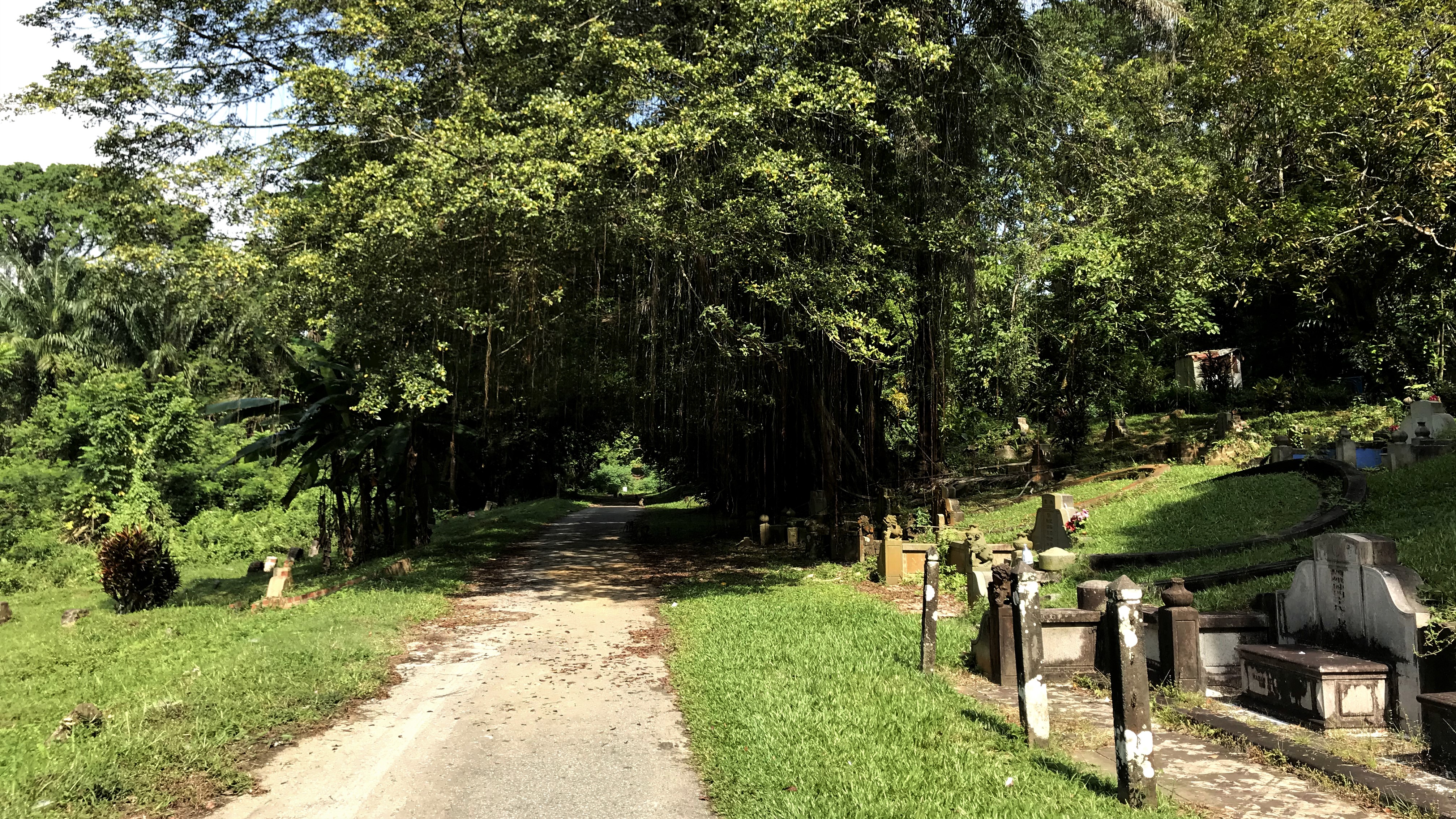 Take a cemetery walk of history, art and nature at Bukit Brown. Photo by Lin Yanqin