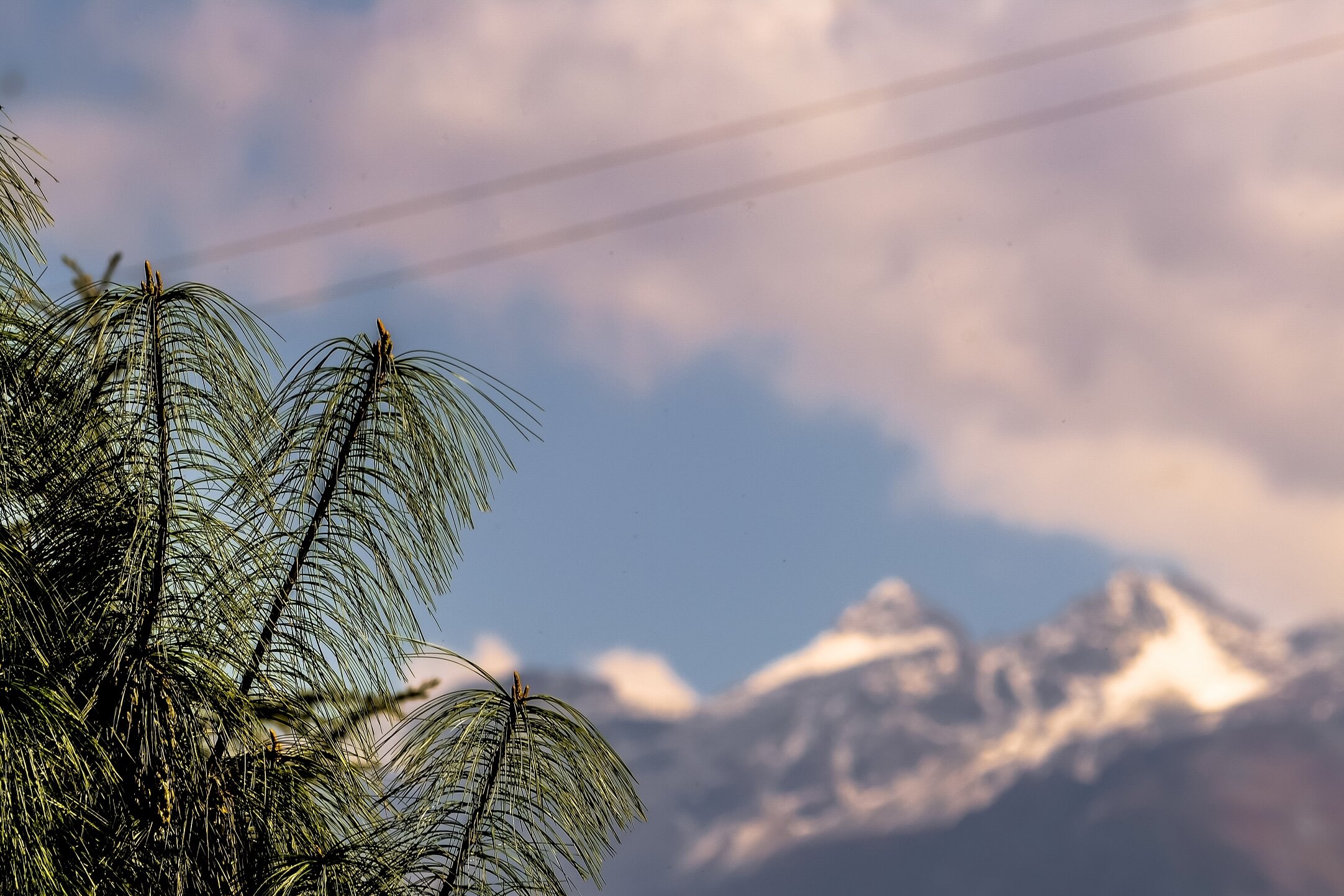 View of the Himalayas in the background in Himachal Pradesh, India