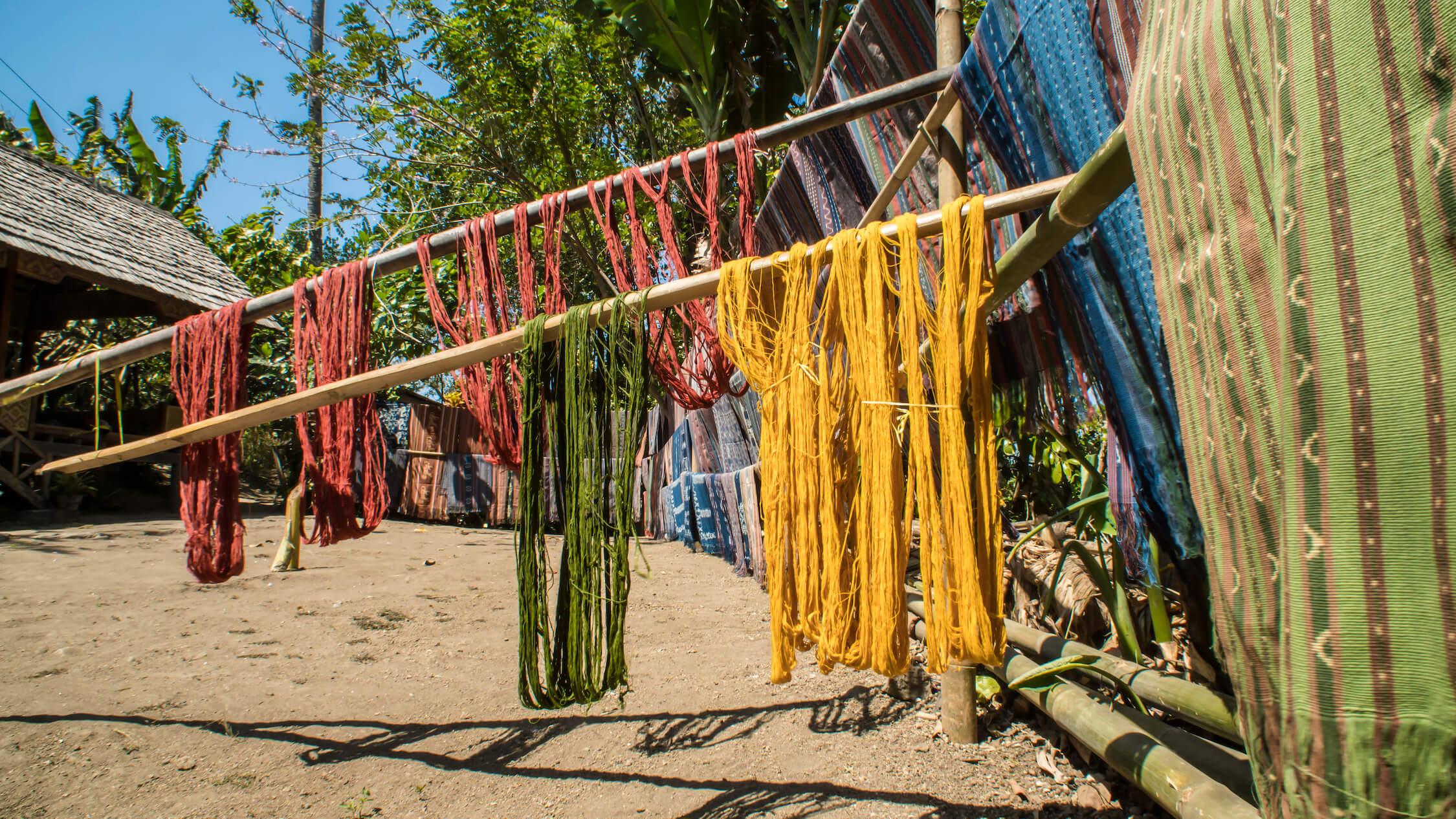 Dyed threads are sun-dried prior to weaving. These resist-free threads do not bear any ikat motif and are typically used for weaving solid colours or plain stripes. Photo by Andra Fembriarto