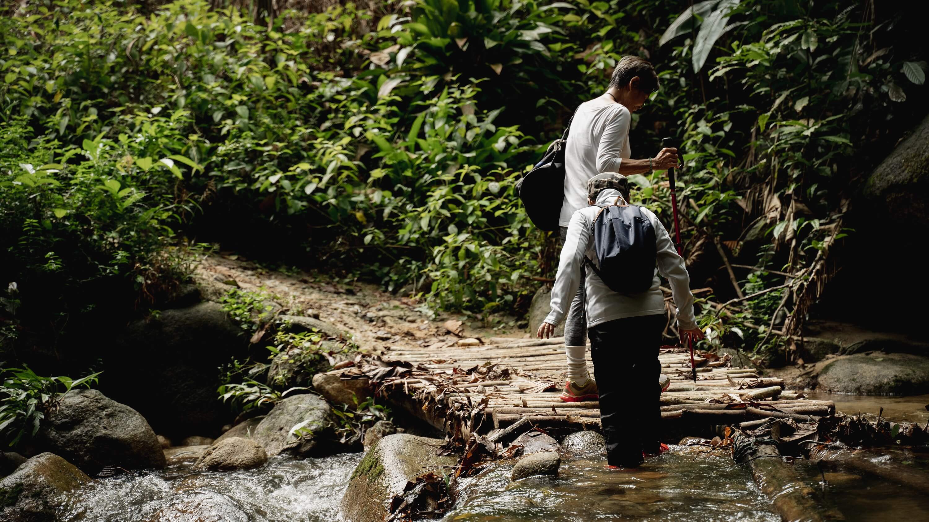 Two people crossing a stream in a forest in Malaysia