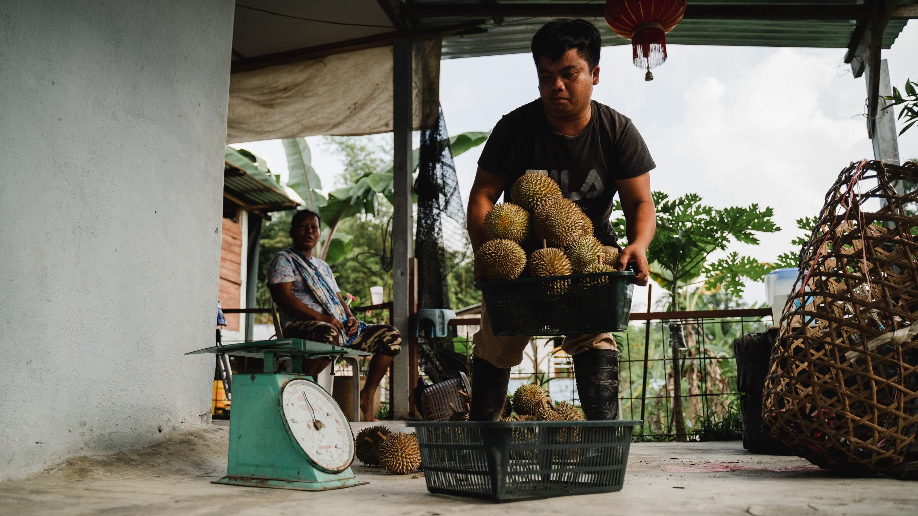 A man lifts a basket of durians to be weighed.