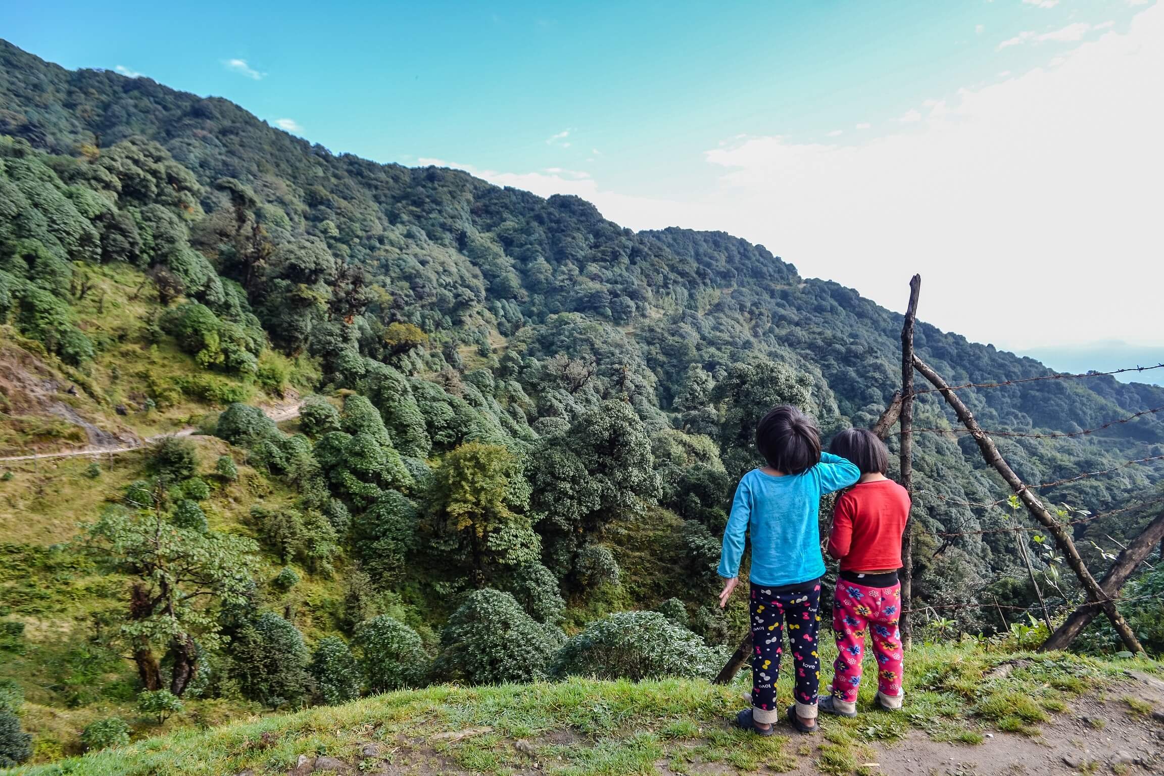 A pair of children stand on the edge of a hillside, with forest-covered mountains unrolling before them in the background