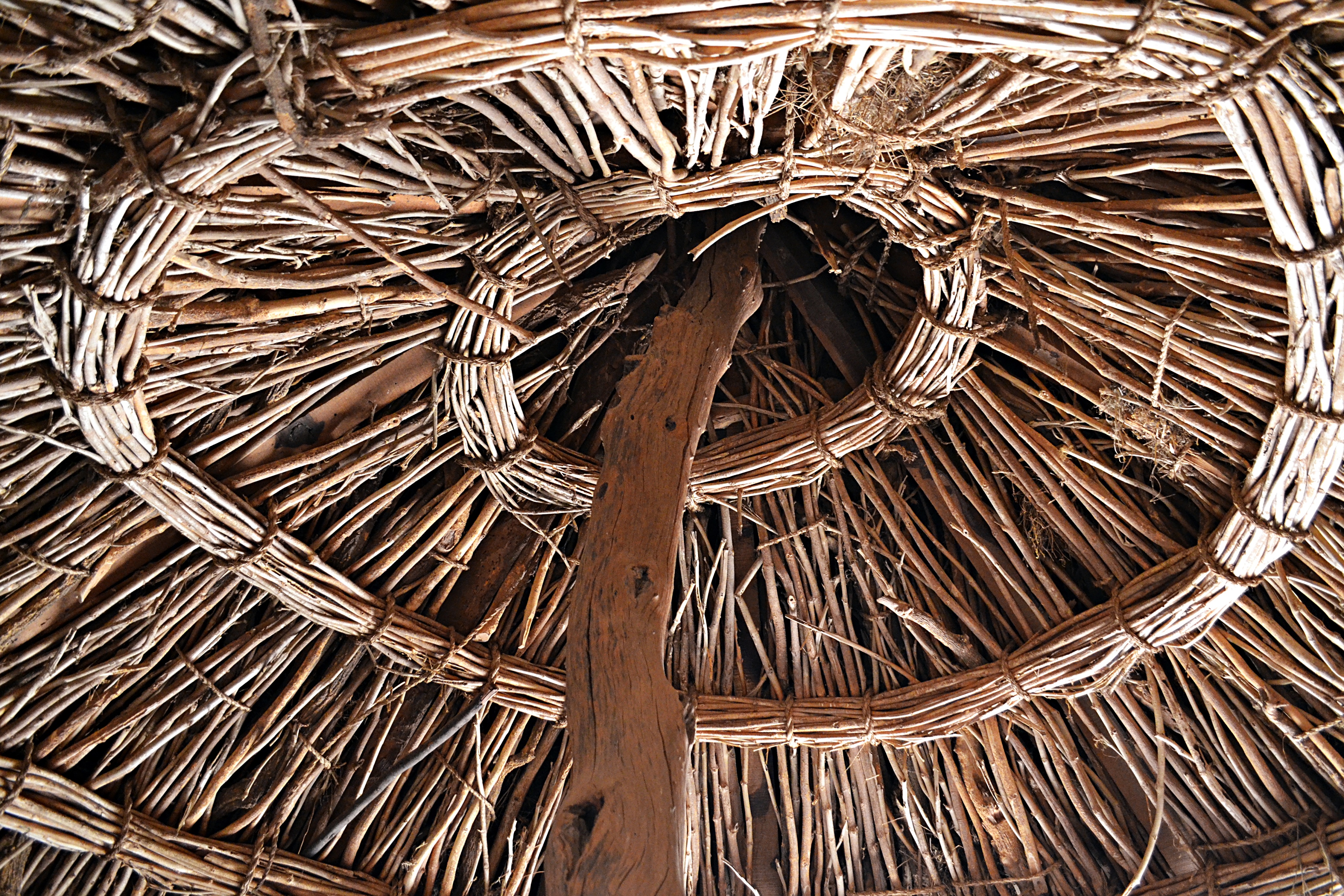 A thatched roof made from the stems of kheemp grass, a type of hemp found abundantly in the Thar. Photo by Stuti Bhadauria