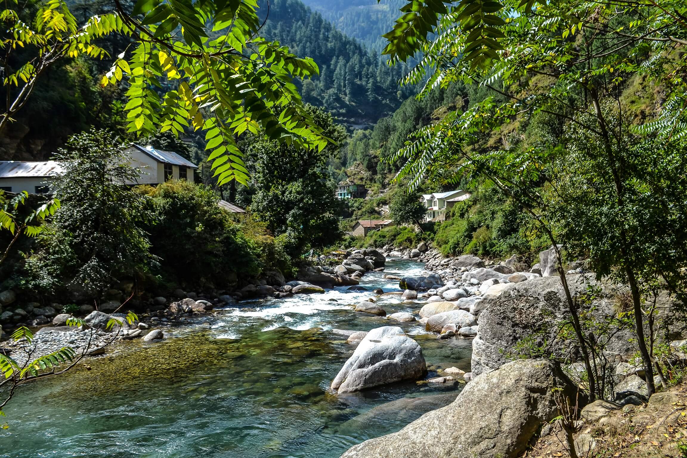 A river in the Himalayas in India