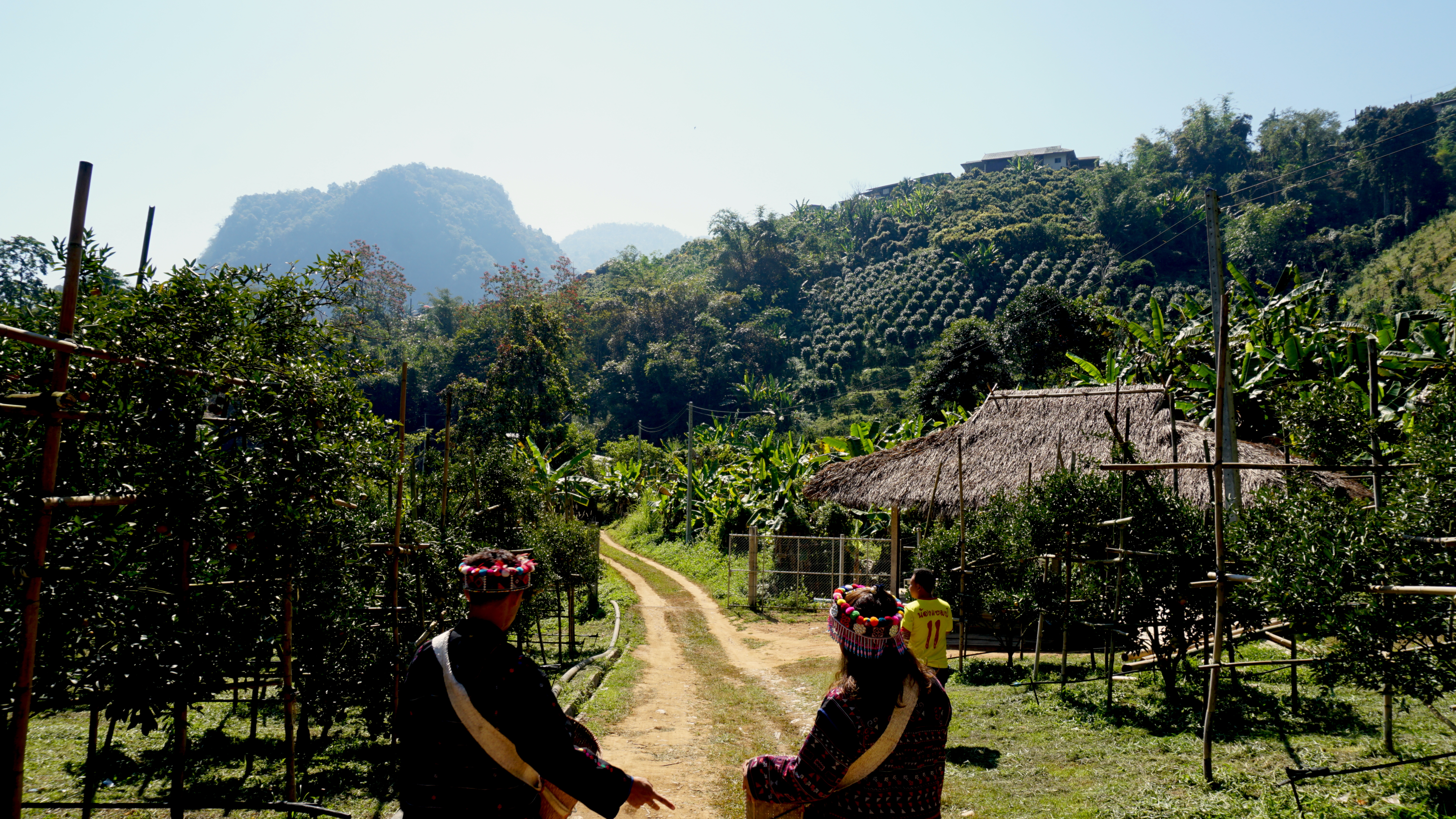 Northern Thailand’s hill tribes turn a new leaf