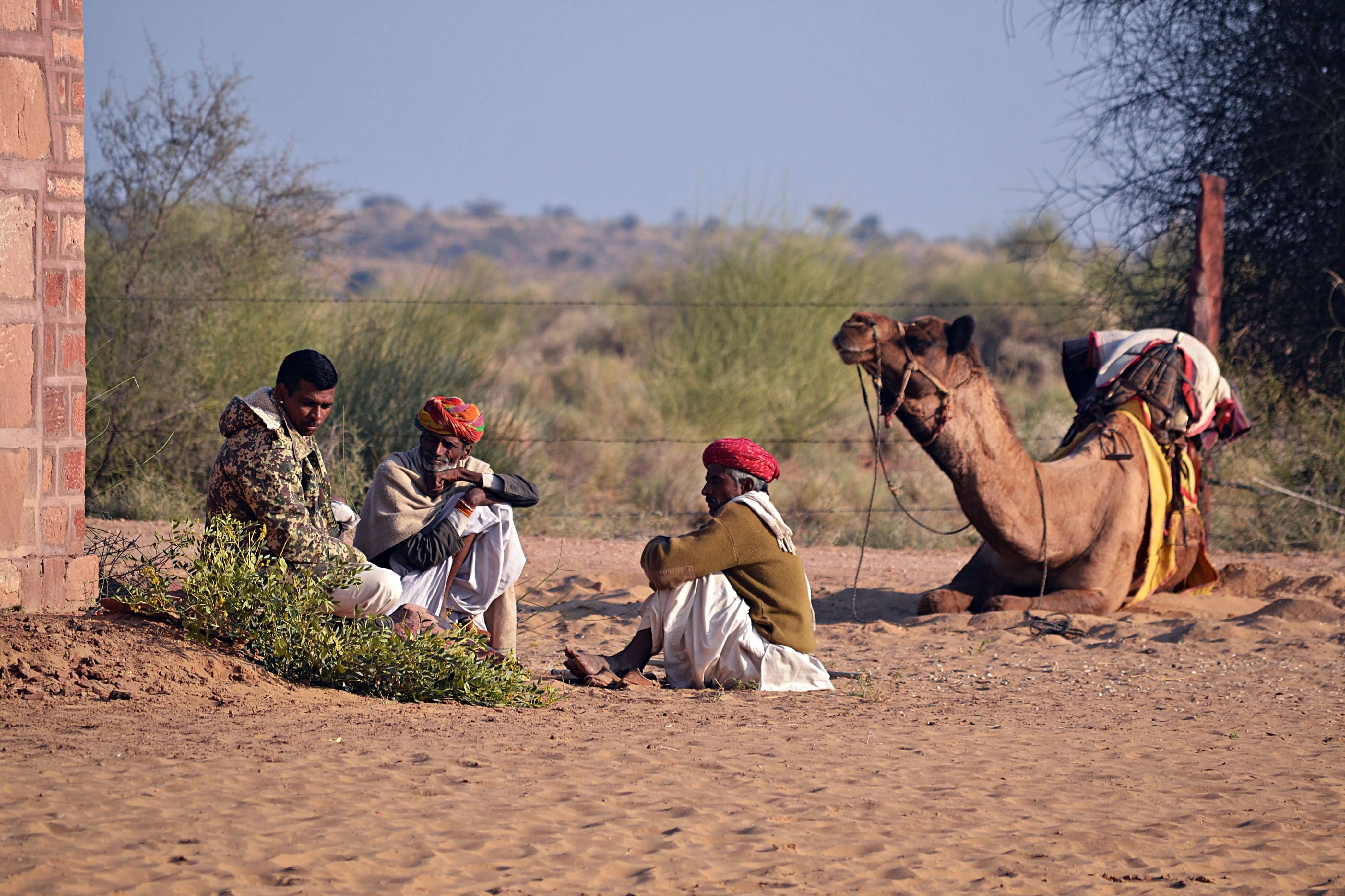 A group of camel herders taking a break. Camel breeding and herding practices are passed down within families for generations. Photo by Stuti Bhadauria 