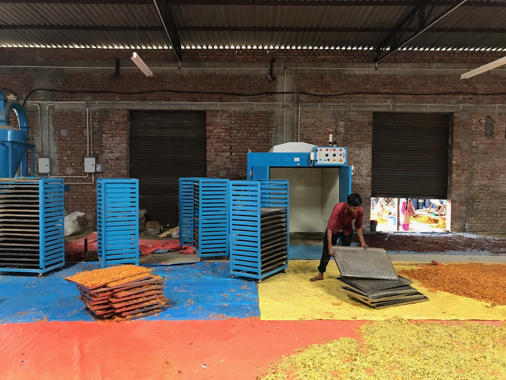 Flowers being dried and processed at the HelpUsGreen facility in Kanpur