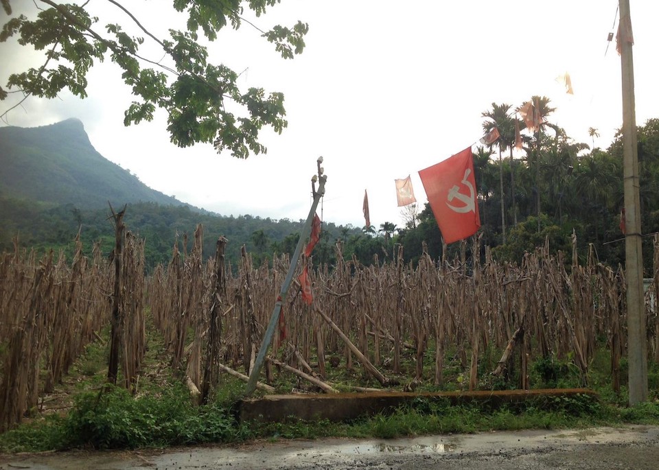 Dried up banana fields, after the land was lashed by flooding, resulting in heavy losses for small-scale farmers. Photo courtesy of SaveAGram