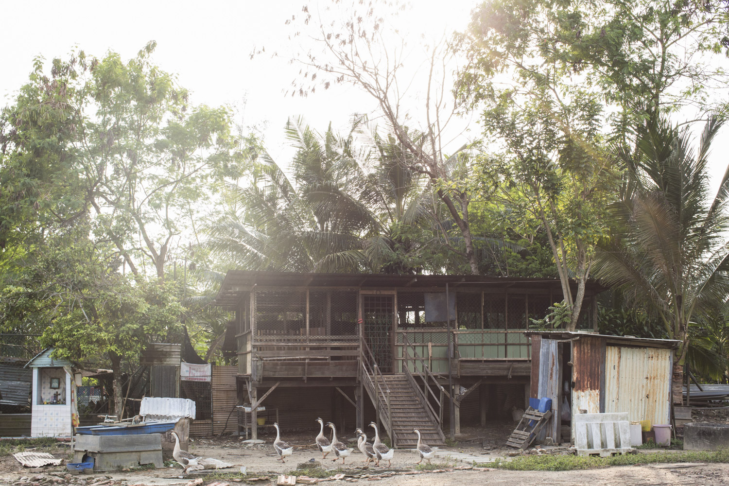 For those physically able, a work therapy programme is available for residents to rear animals such as ducks and goats, or help out at the center’s organic vegetable farm. For those physically able, a work therapy programme is available for residents to rear animals such as ducks and goats, or help out at the center’s organic vegetable farm.