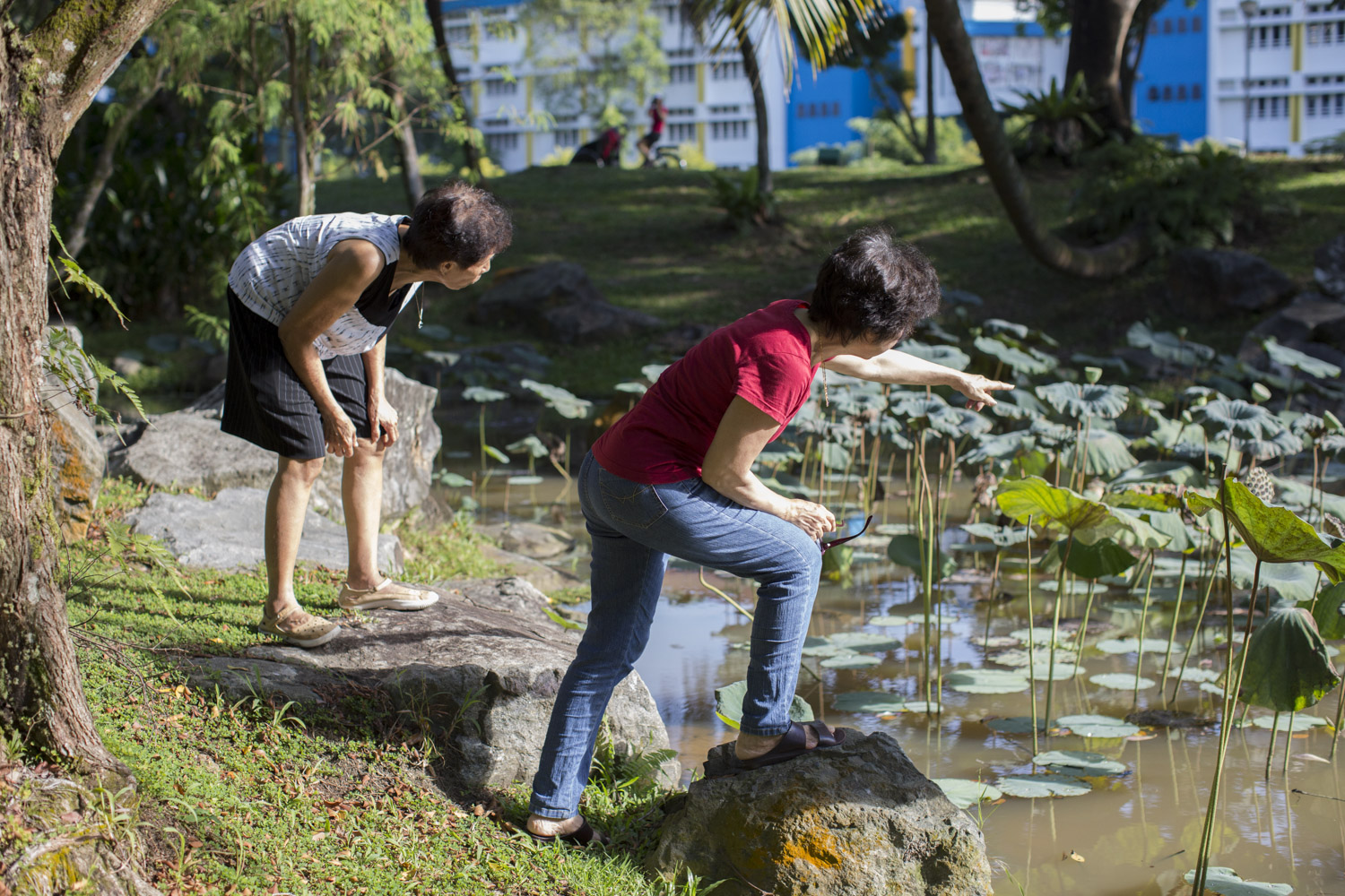 The two older ladies enjoy a short stroll near a lake as Dorothy looks on. Madam Choo loves flowers and kept pointing out the different varieties she saw.