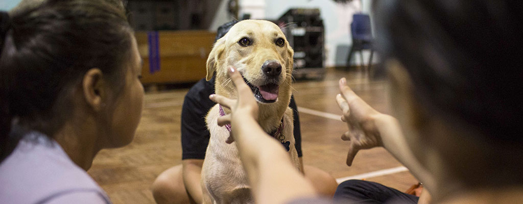 Why belly rubs can be the best therapy Why belly rubs can be the best therapy