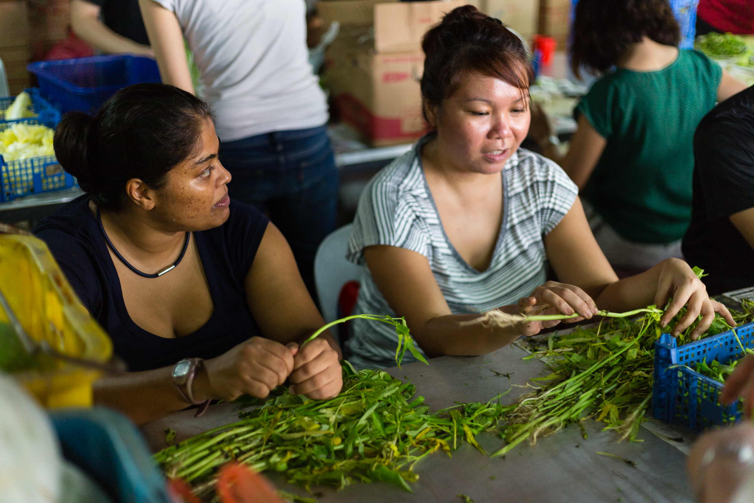 Ashima and Alexis begin the chain by prepping vegetables of all sorts