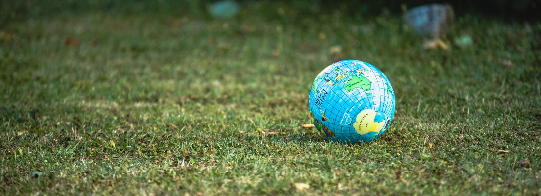 Picture of a globe on a field on grass