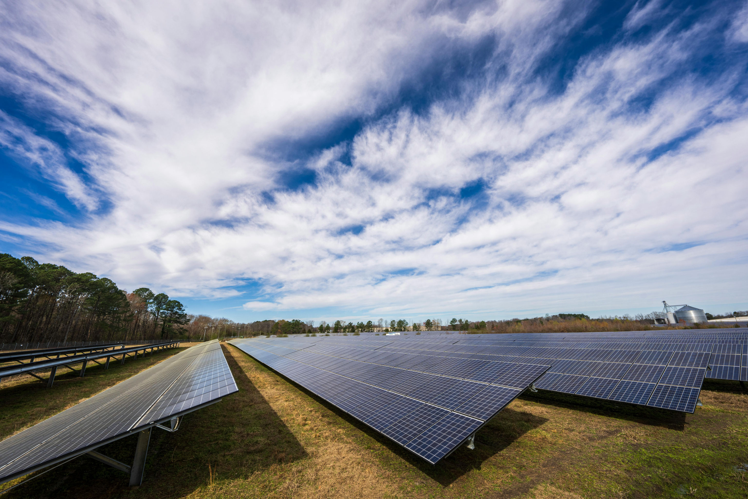 Finding Harmony: Innovative Paths for a Sustainable Future