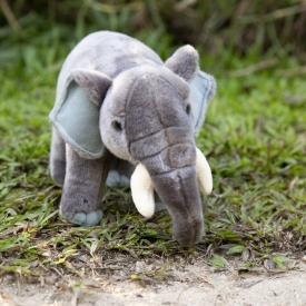 The Peaceful Elephant