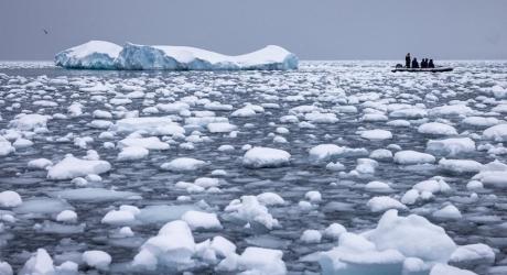 Sea Ice in the Southern Ocean around the Antarctic Peninsula. Photo by Trenton Branson