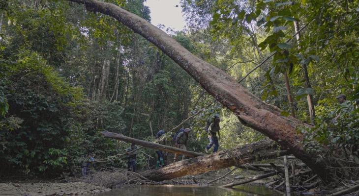 Menraq team patrols the forest 