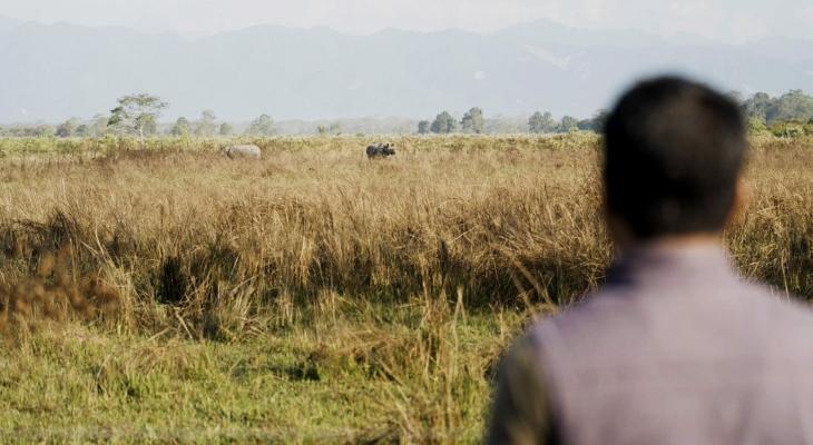 How to Travel with Wildlife in Mind