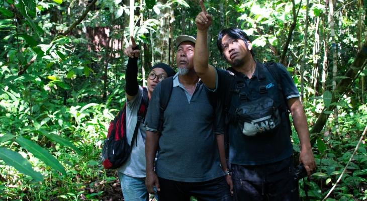 Protecting Kinabatangan