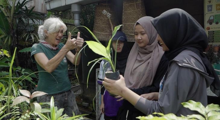 Seeding Hope: How Free Trees Can Help Fight Climate Change