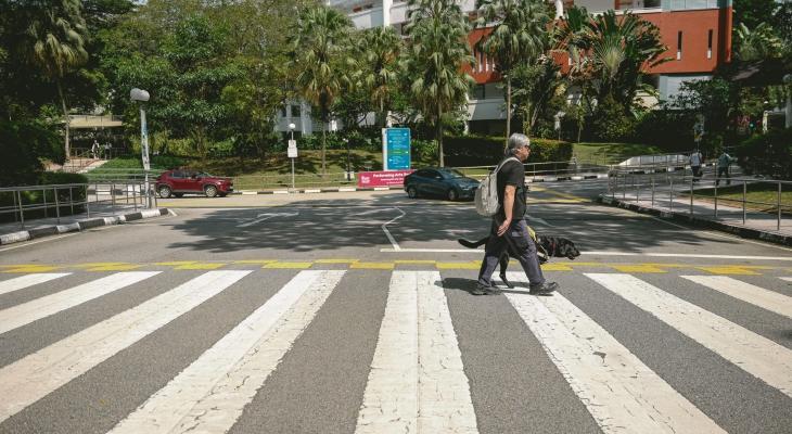 A Blind Guide Dog User's Hope for a More Inclusive Singapore