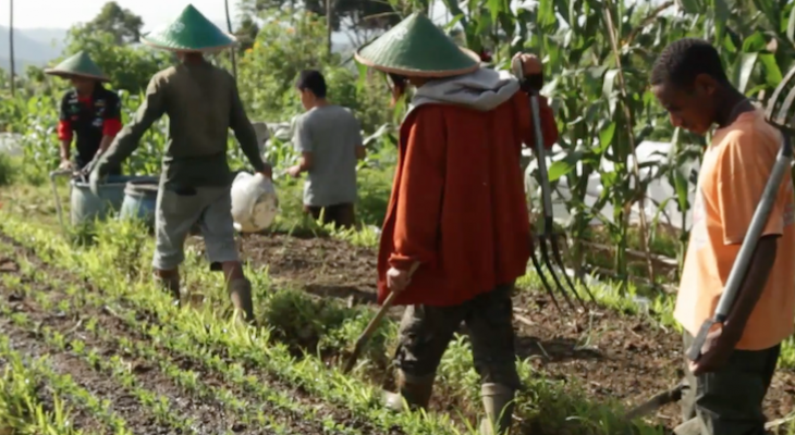 A Farm for People