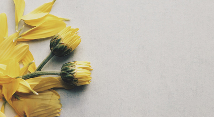 Where to Find Help and Resources for Sexual Violence or Harassment in Asia