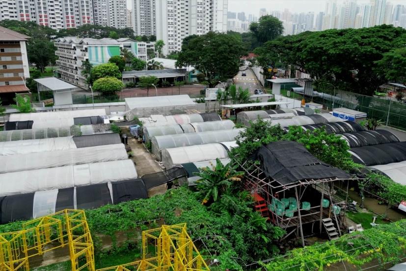 The flagship City Sprouts development at Henderson, which helped drive an urban farming movement.