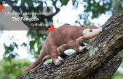 A Wild Life Creature Feature  The Pangolin By Olivia Low