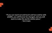“If you can reach out and touch and love and be with wildlife, you will forever be changed, and you will want to make the world a better place.” - Terri Irwin